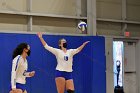 Volleyball vs RWU  Wheaton Women’s Volleyball vs Roger Williams University. : Volleyball, VB